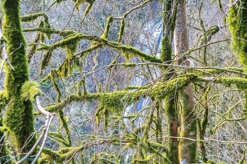 Orekhovsky Waterfall in Sochi - a picnic in nature