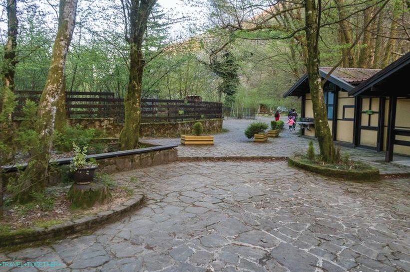 Orekhovsky Waterfall in Sochi - a picnic in nature