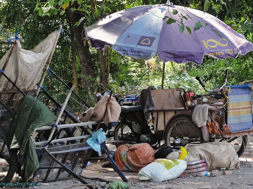 Sleeping in the middle of the day