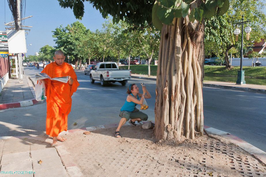 Monks walk everywhere in the city
