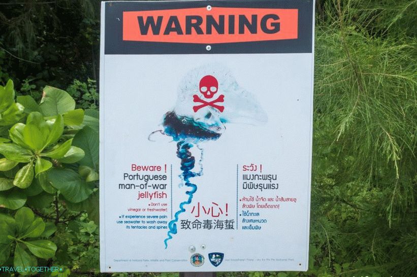 Warning about deadly jellyfish - Portuguese ship