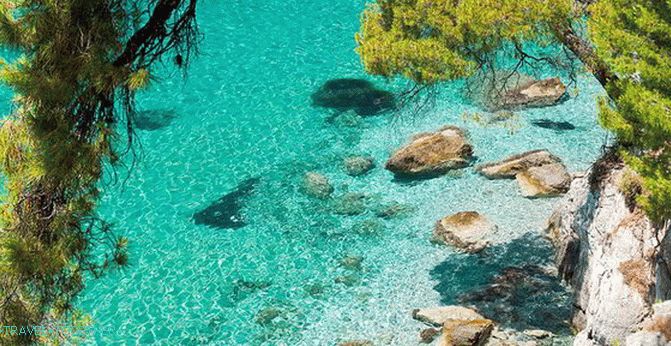 Skopelos Island - the place where the drink of the gods is born
