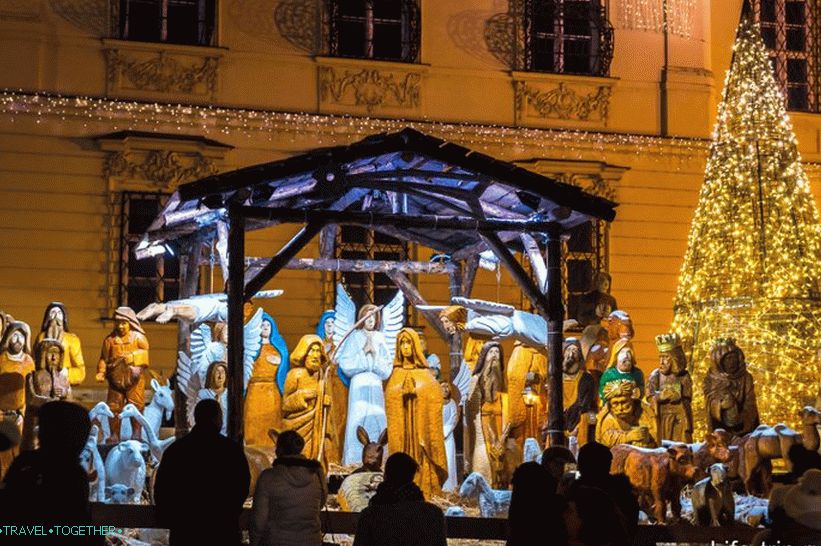 Exposition for Christmas