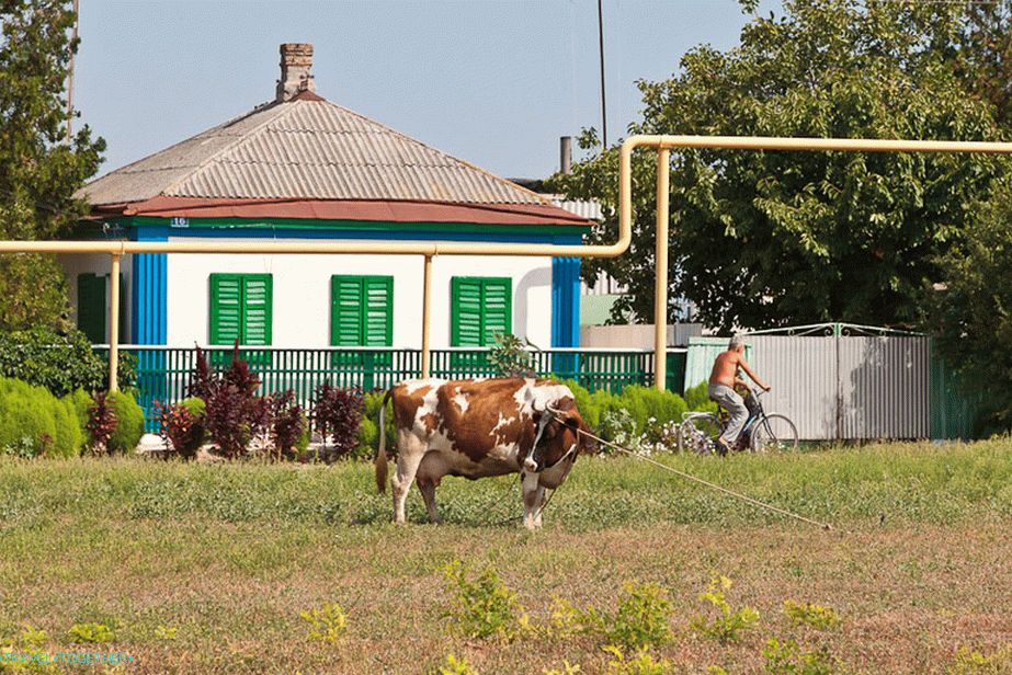 Rural color