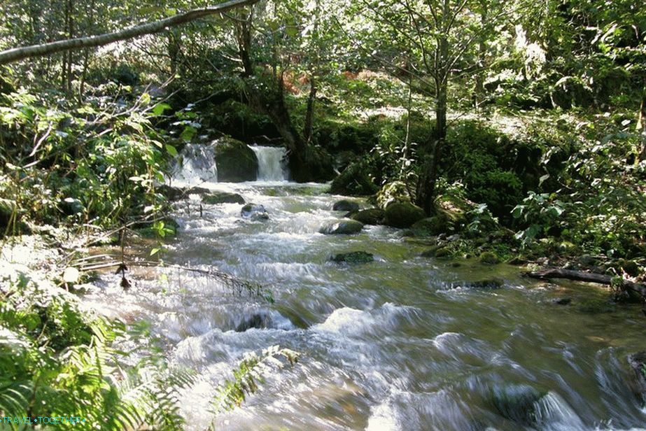 It is better to take a whole day to visit Mtirala Park