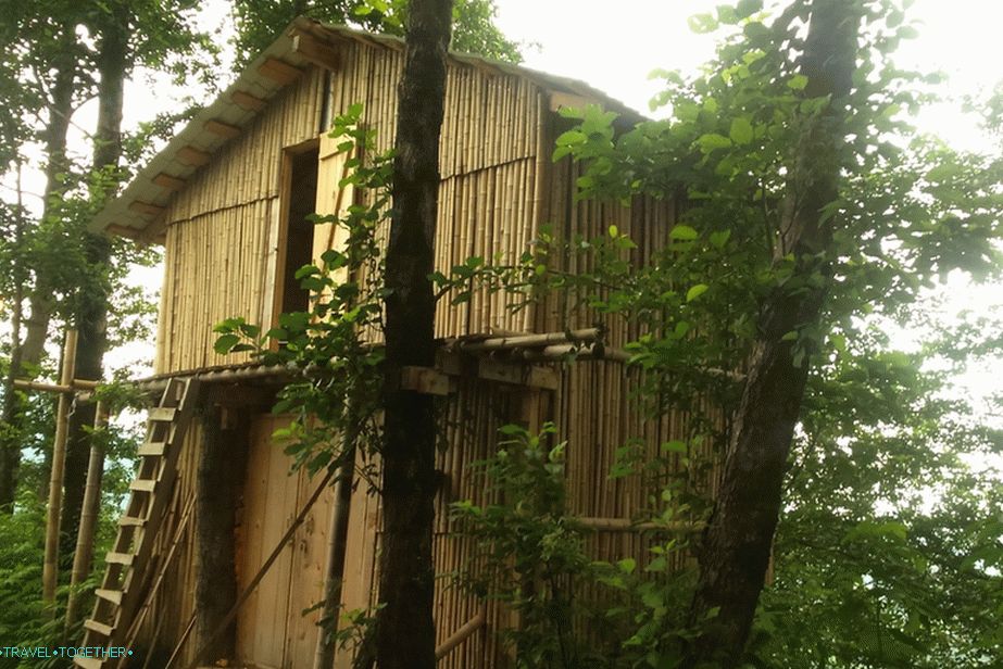 Holidays by the sea in Batumi