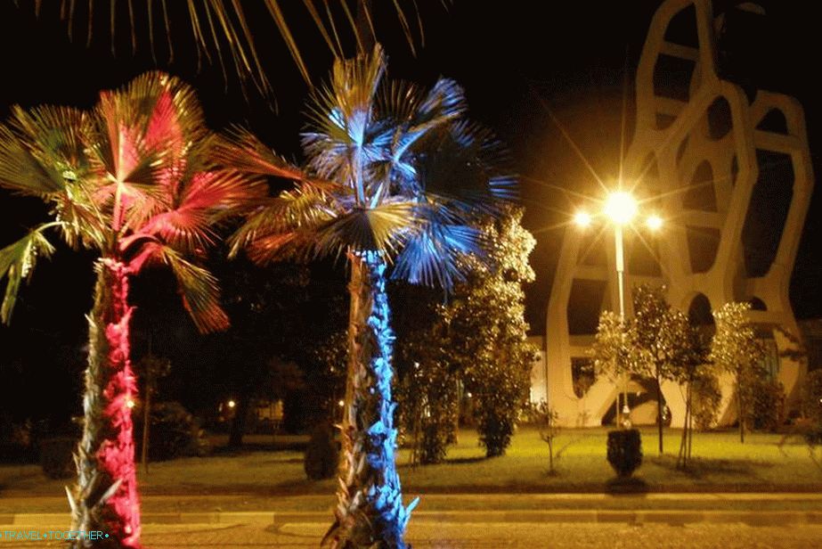 At night you will see a completely different Batumi, bright and noisy