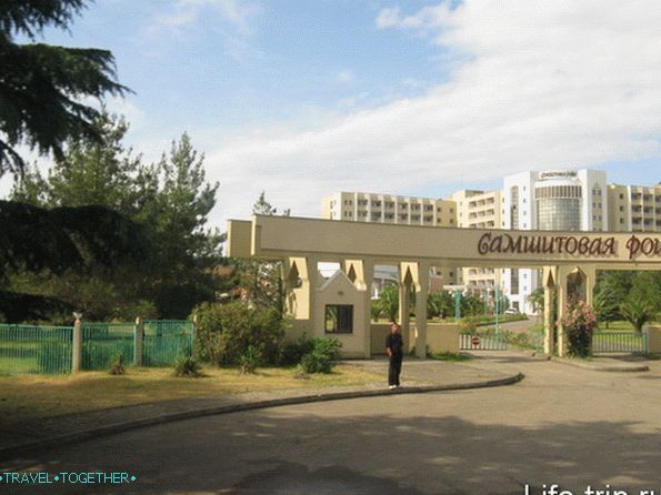 Abkhazia. Pension Samshitovaya grove.