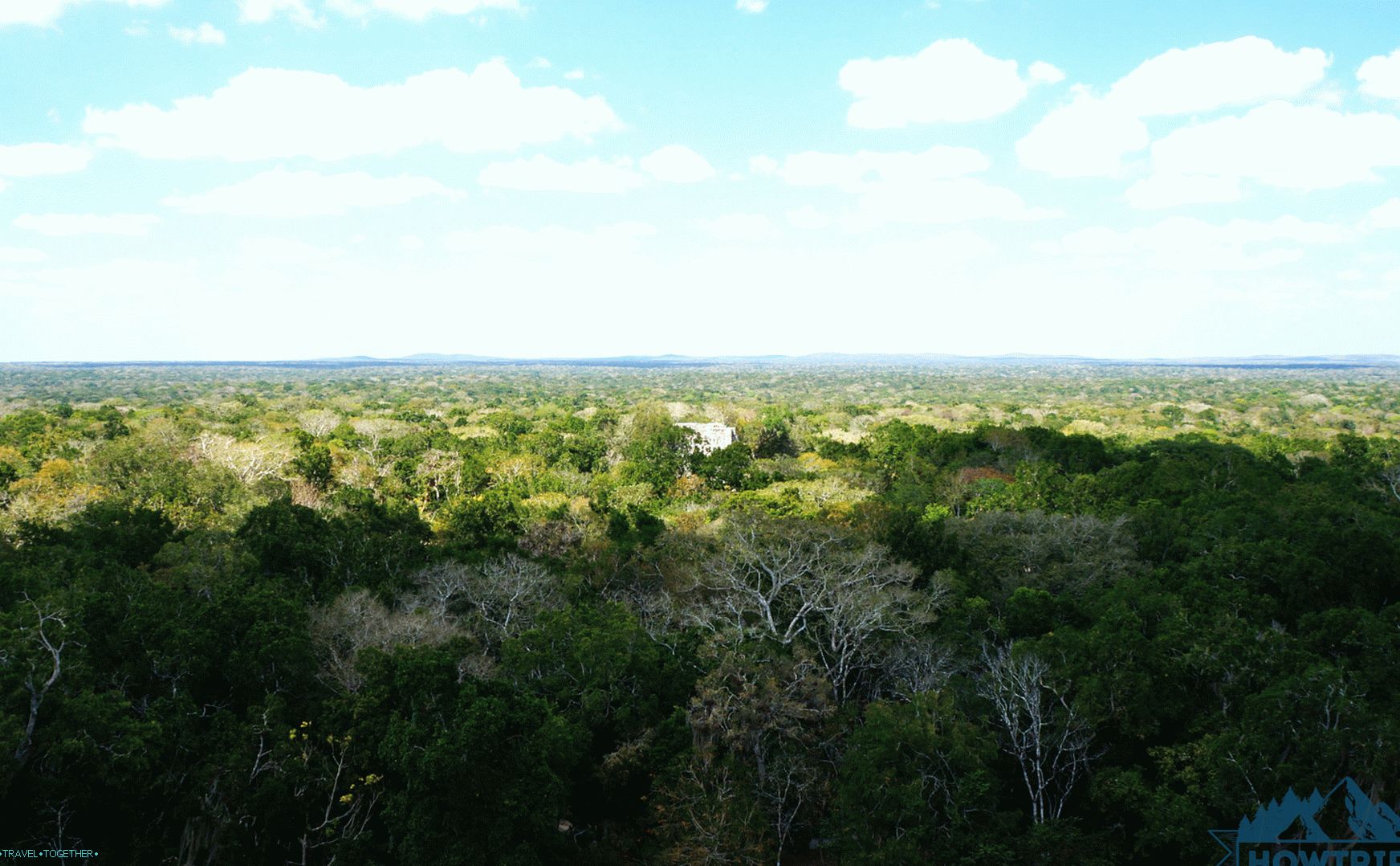 View from the Mayan Pyramid in Calakmul