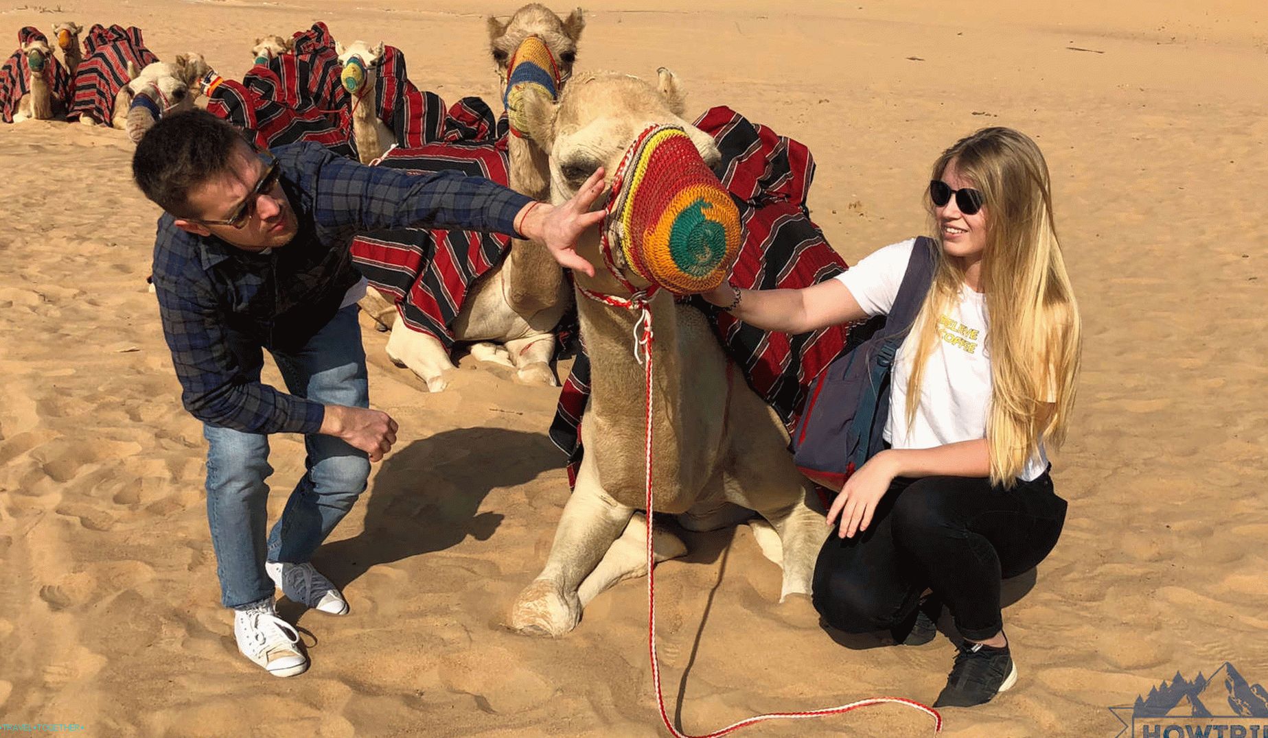 Safari in Dubai