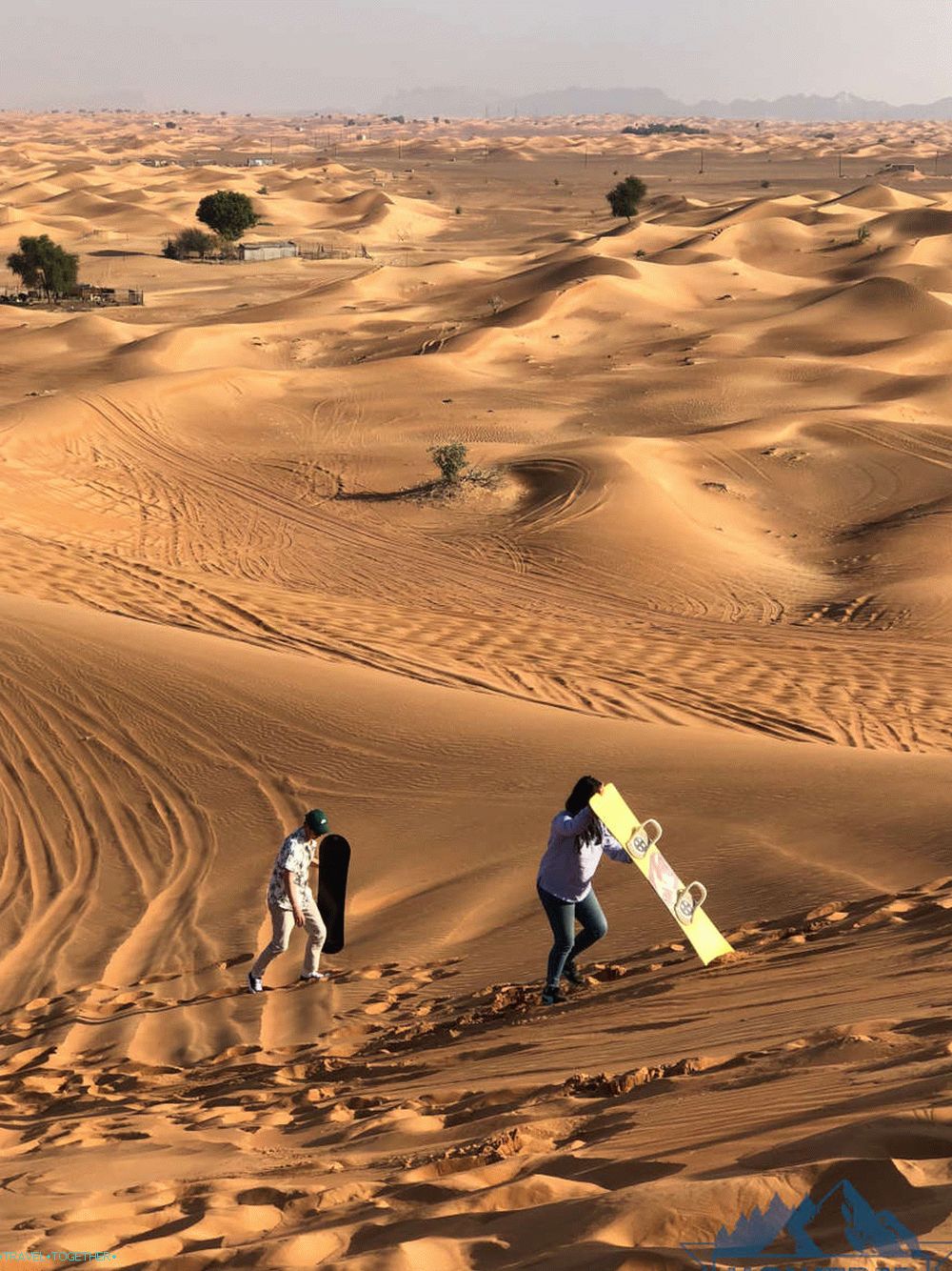 Safari in Dubai