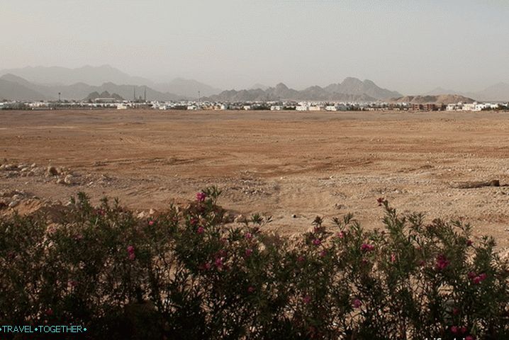 Sharm el-Sheikh. Next to the hotel.