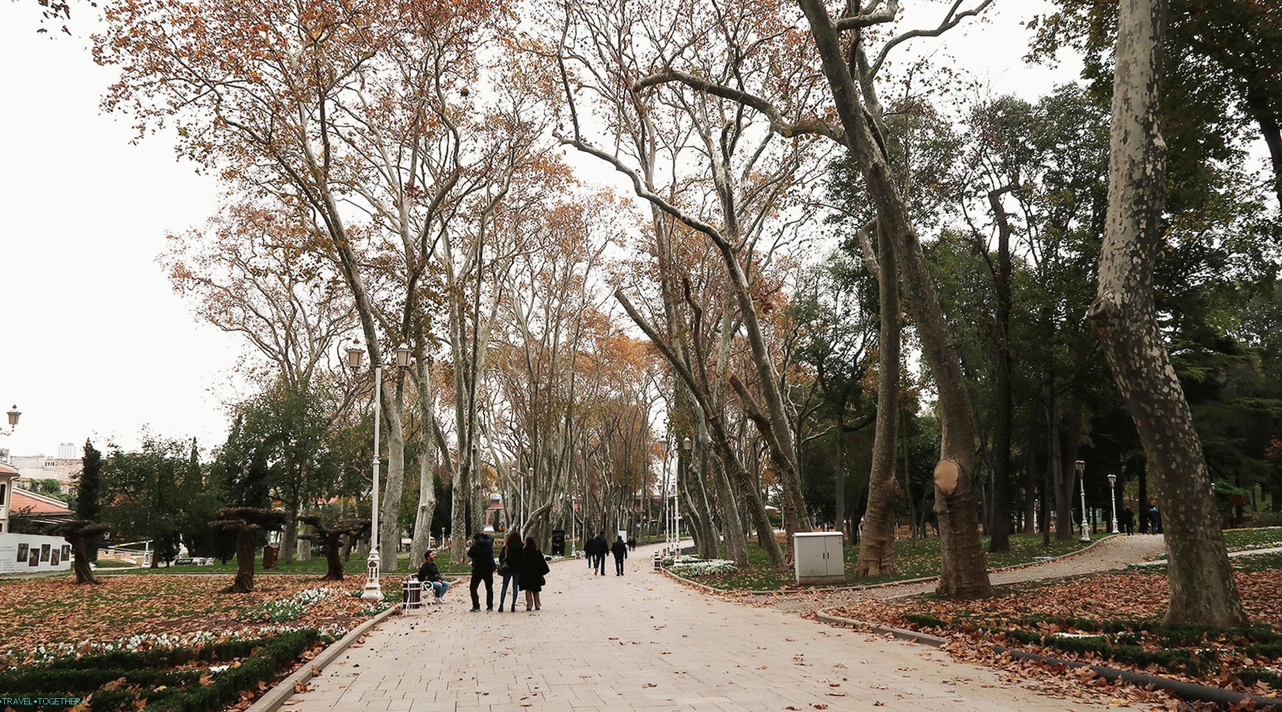 Turkey in winter, tourist reviews - Turkey in January 2019