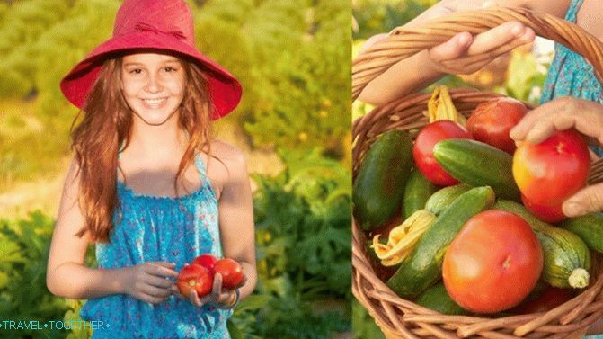 It is possible and necessary to have a rest in Greece with children!