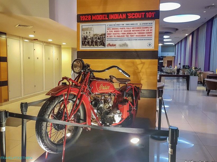 Shaggy model motorcycle