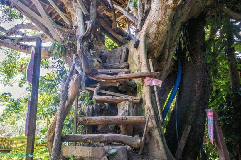 The ladder is such that no matter how to break the legs