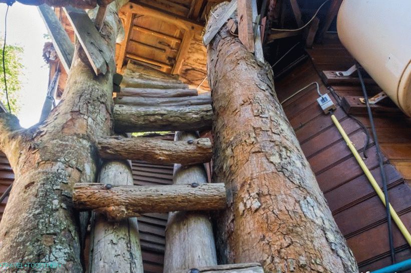 At the very top, so in general, not everyone will climb