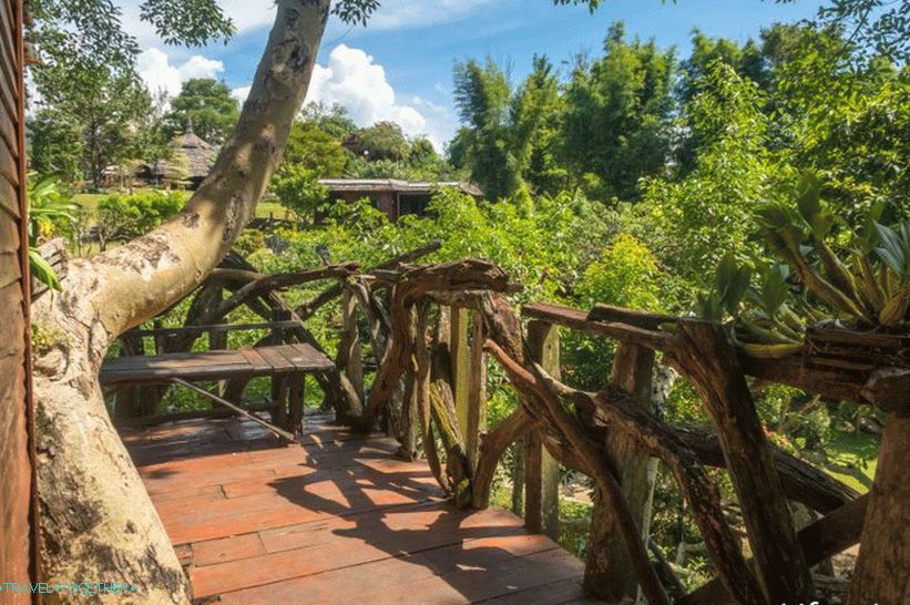 There is no particular species, but atmospheric