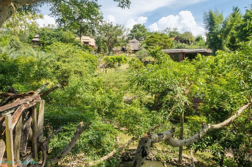 Pai Treehouse Treehouse - Accommodation and Attraction