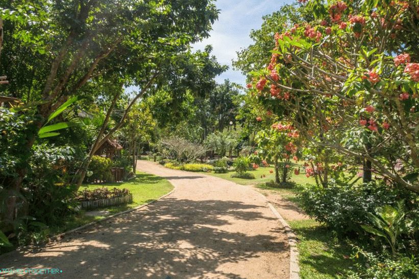 Pai Treehouse Treehouse - Accommodation and Attraction