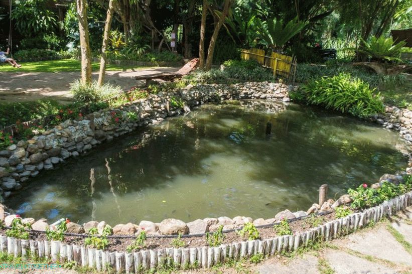 Pai Treehouse Treehouse - Accommodation and Attraction