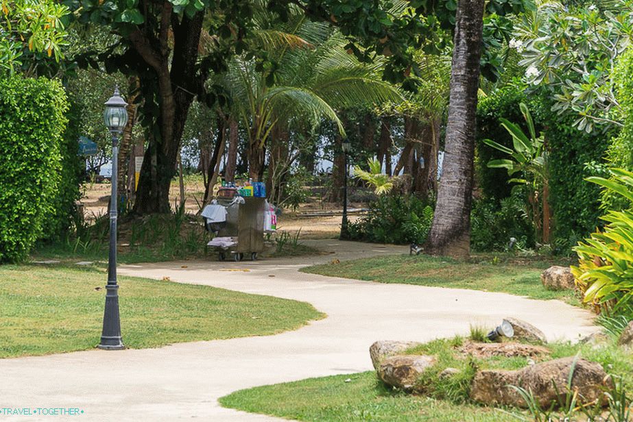 Track leading to the crossing