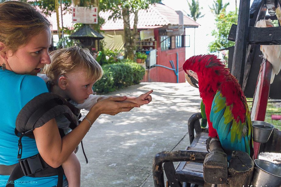 Mom-mom, and he will not eat me?