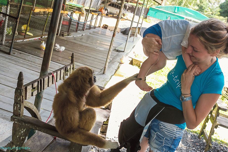 Listen friend, come to me