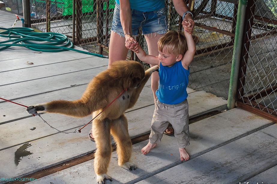 Let me hug you goodbye!