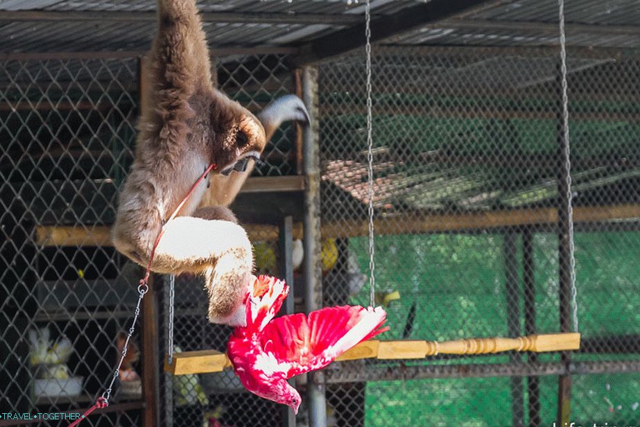 Something is not shared