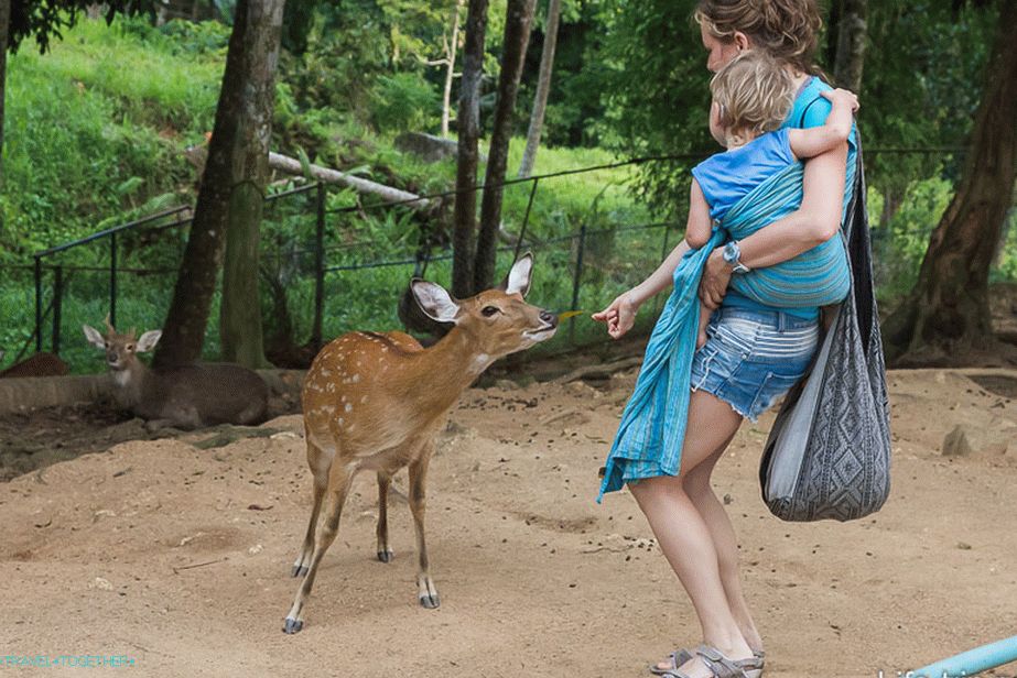 For a couple of seconds, fell on the leaf