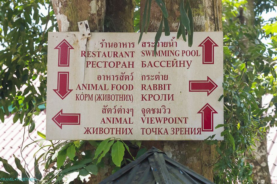 I was thinking how the viewpoint translates!