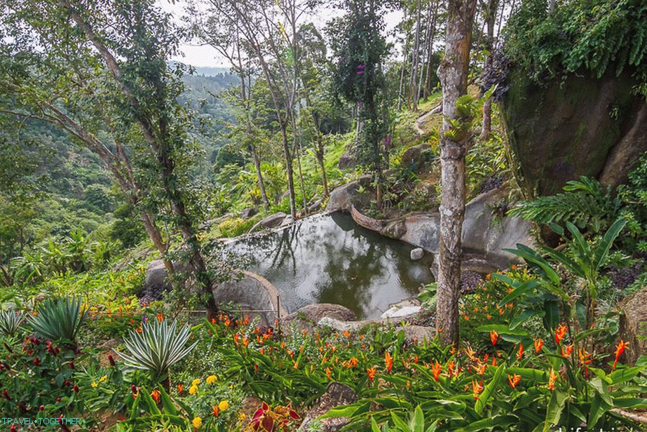 Beautiful pond in the area near the deer