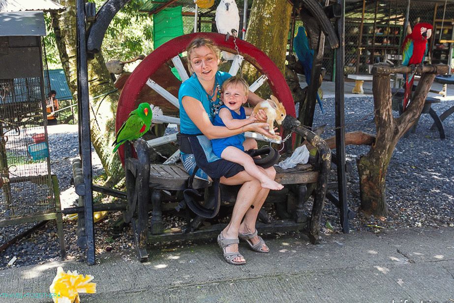 Why does Mom make him touch ?!