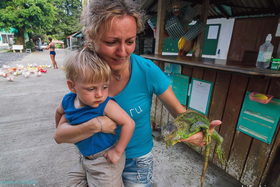 Such a nice cool green ...