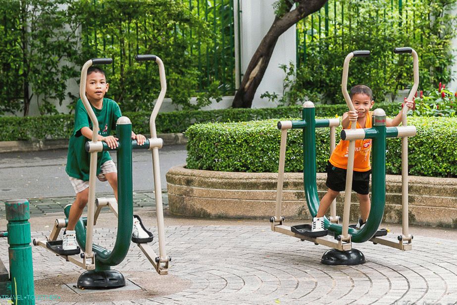 Training equipment for children and adults