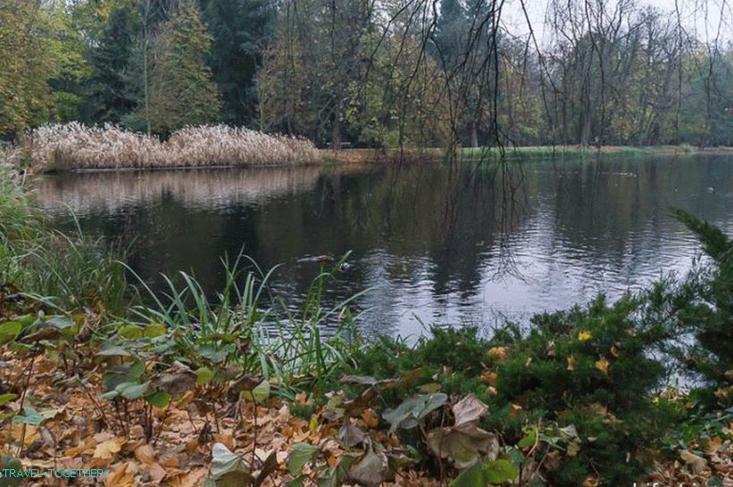 One of the ponds in the park