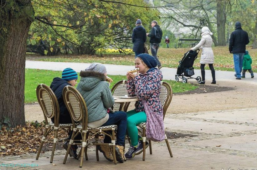 A cafe with delicious waffles and hot drinks