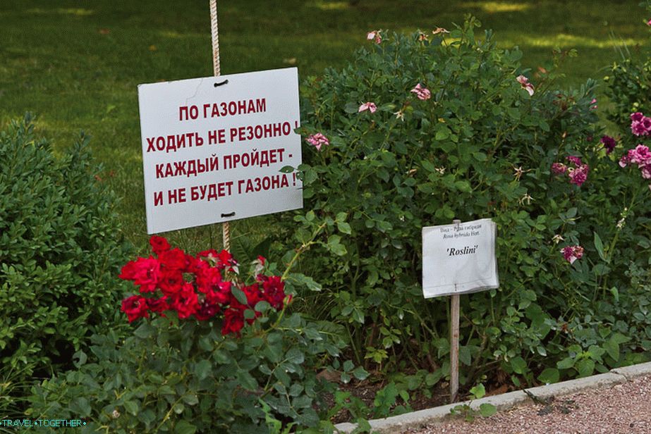 Funny inscription on the lawn