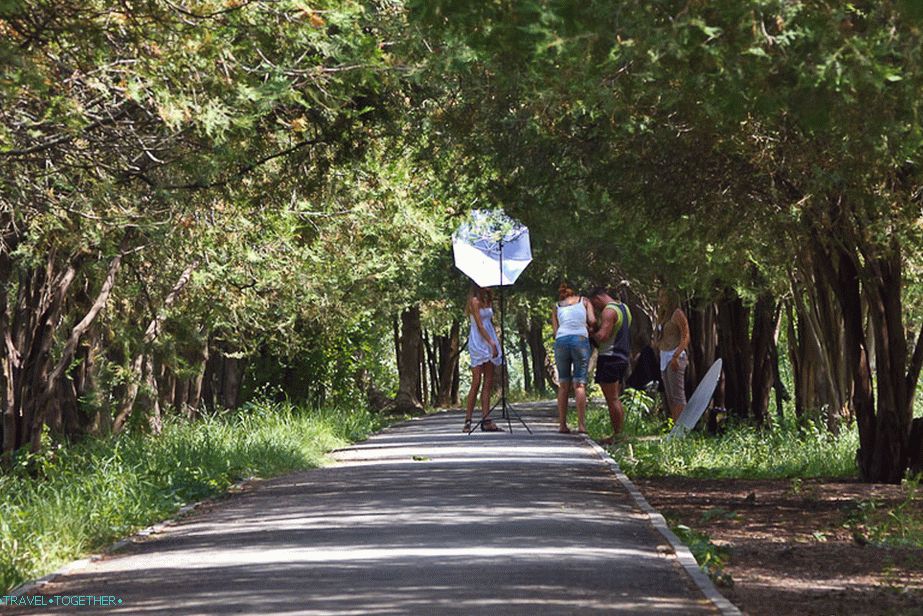 Alley for photo shoots