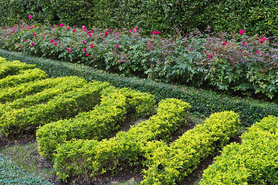 Something is written in Thai, but I did not understand