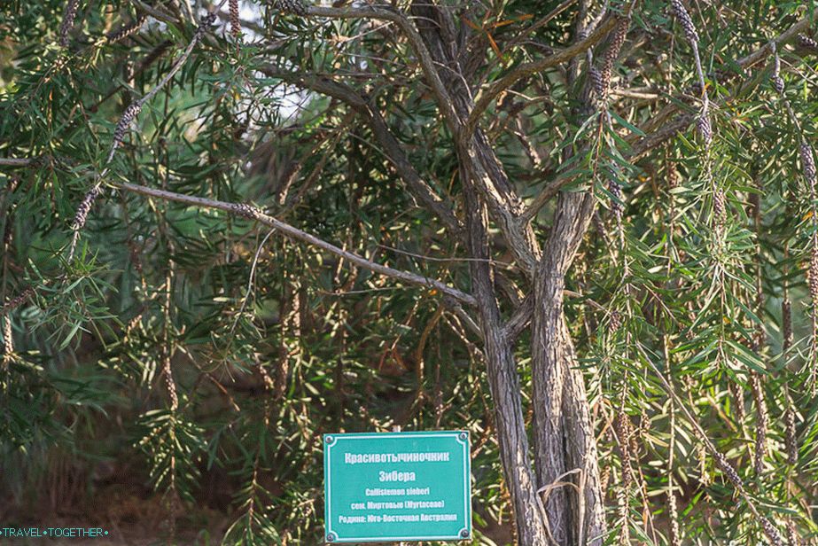 Some plants are signed