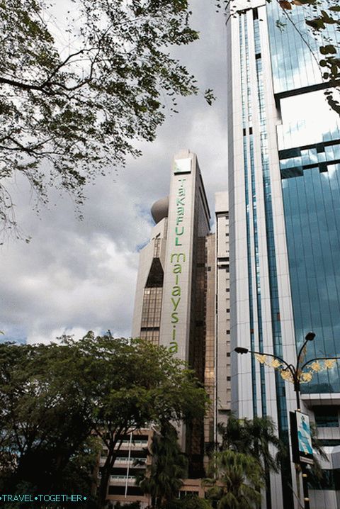 Skyscrapers through the thickets