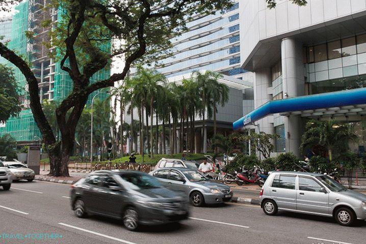 Palm trees and other wild vegetation on the streets