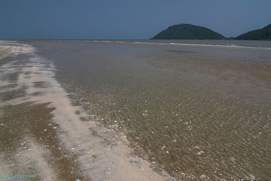 Low tide on the beach
