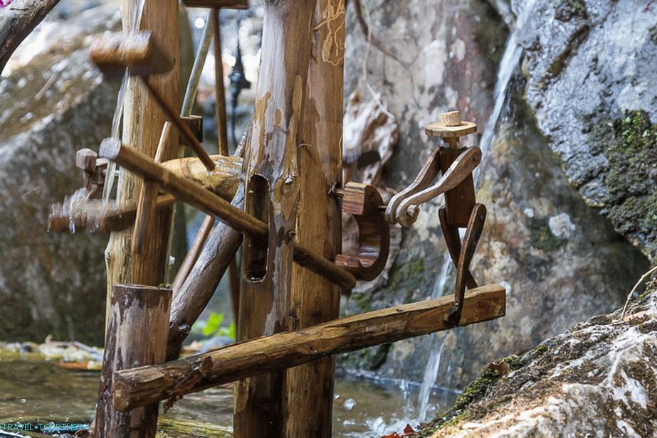 Funny people spinning the wheel