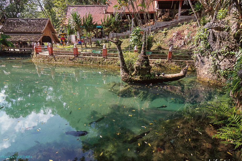 Pond with emerald water