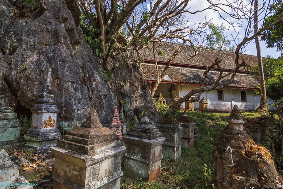 Mossy stones, dried tree ...