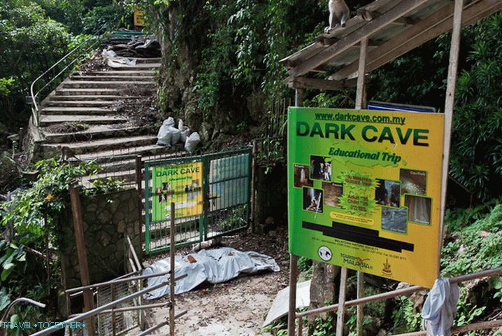 Dark Cave Dark Cave