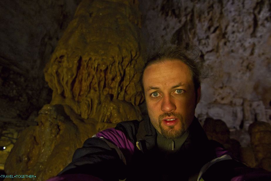 I'm slowly losing my mind